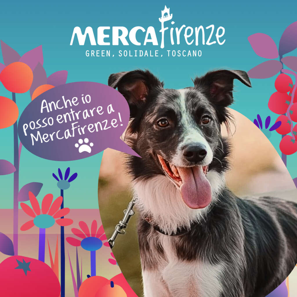 MercaFirenze… a quattro zampe! 🐾