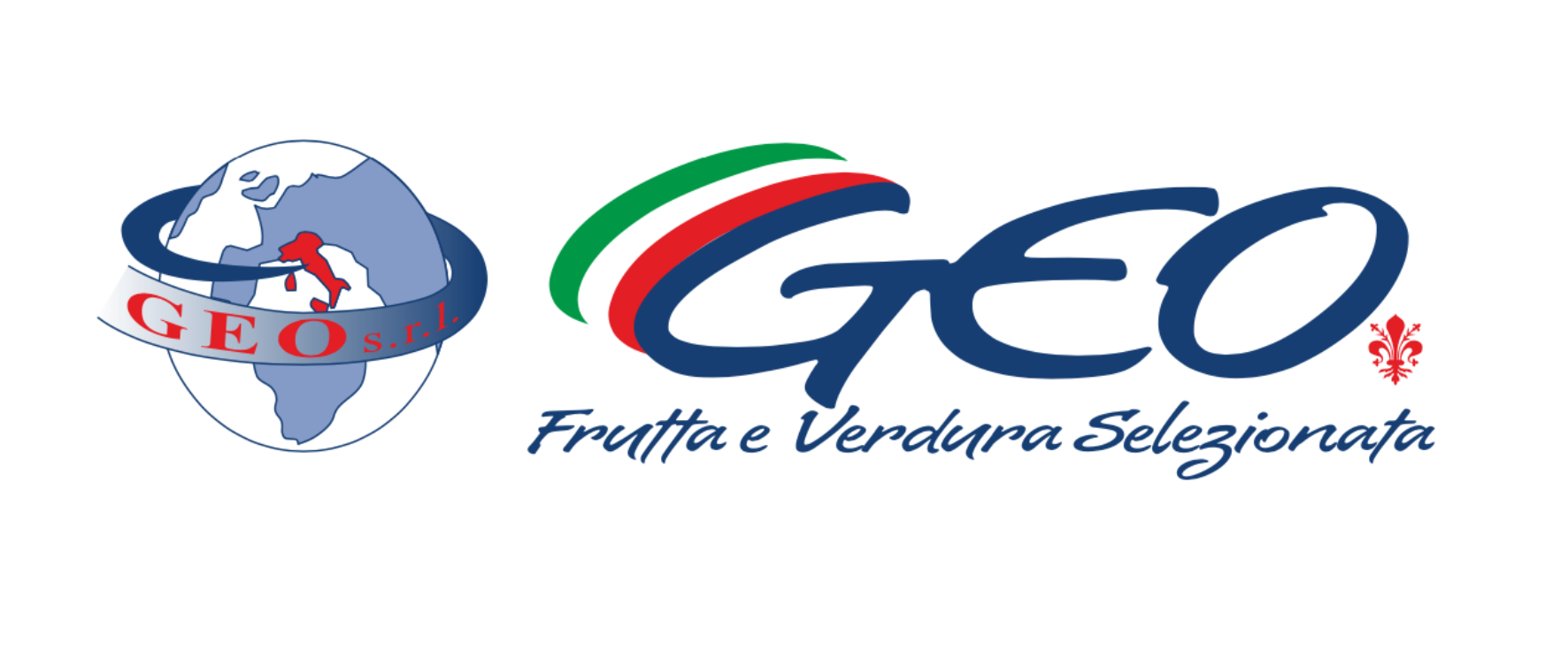 GEO srl logo